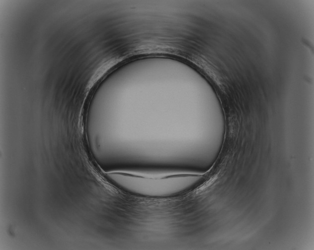 X0000097650885200803280926