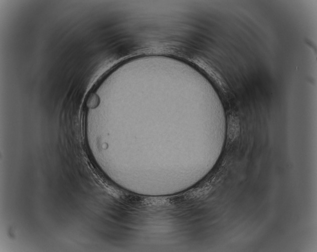 X0000097650886200803280926