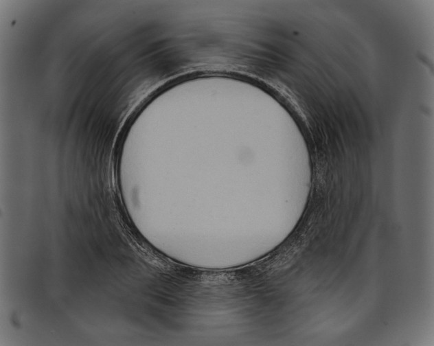 X0000097650887200803280926