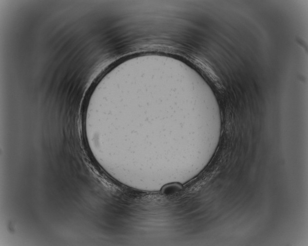 X0000097650888200803280926