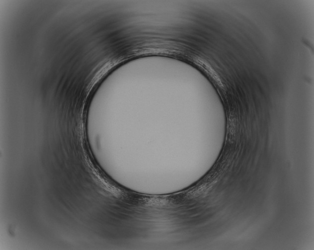 X0000097650890200803280926