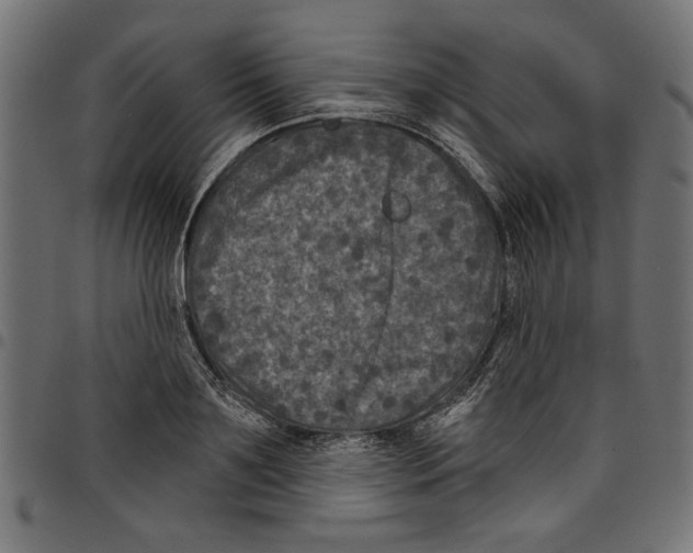 X0000097650891200803280926