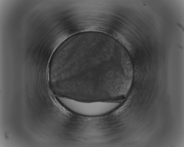 X0000097650892200803280926