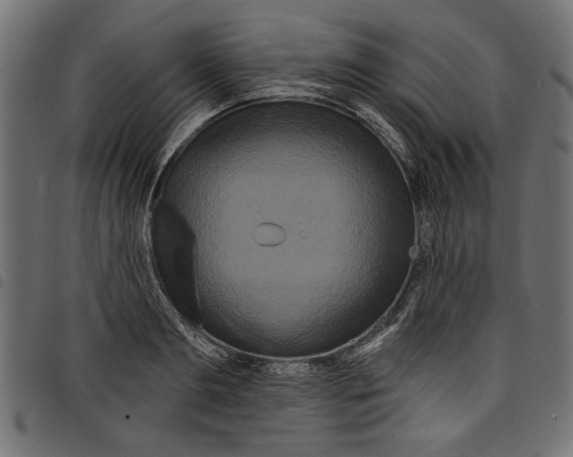 X0000097650893200803280926