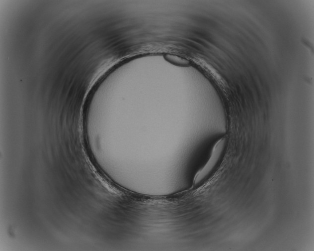 X0000097650894200803280926