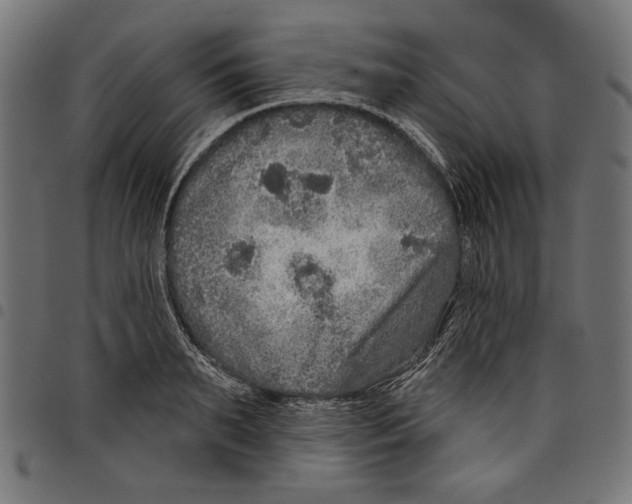 X0000097650895200803280926