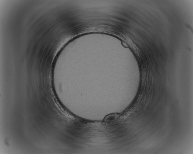 X0000097650896200803280926