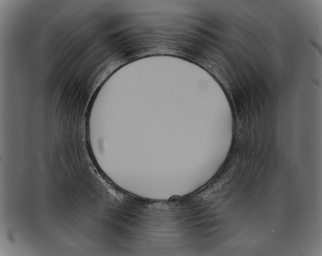 X0000097650898200803280926