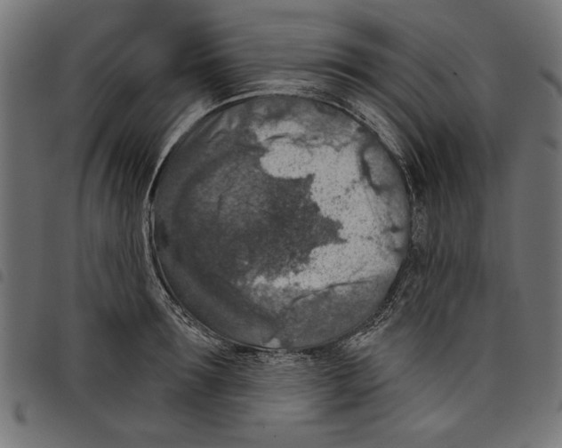 X0000097650899200803280926