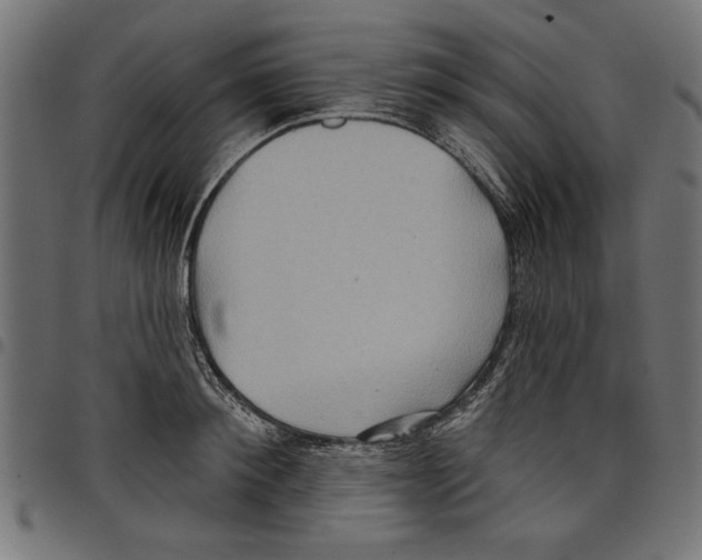 X0000097650900200803280926