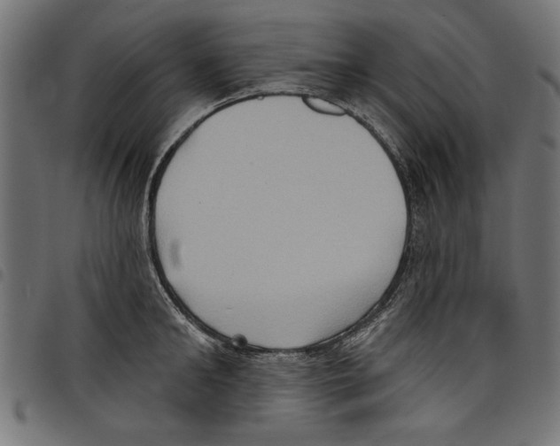 X0000097650902200803280926