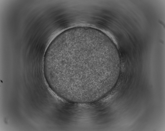 X0000097650903200803280926