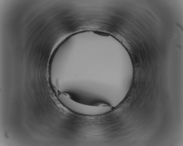 X0000097650904200803280926