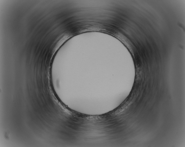 X0000097650906200803280926