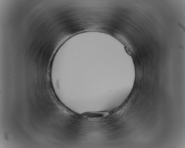 X0000097650908200803280926