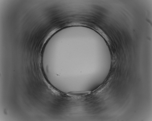 X0000097650909200803280926