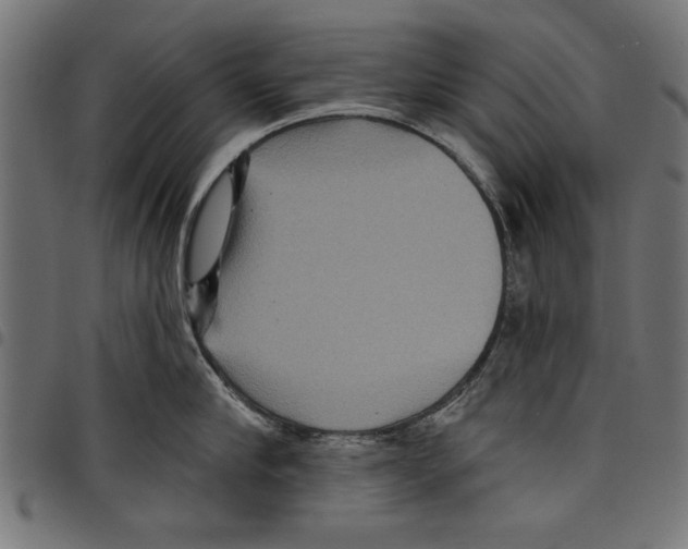 X0000097650910200803280926