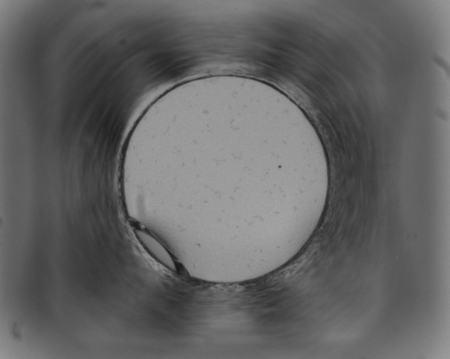 X0000097650912200803280926