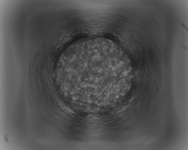 X0000097650913200803280925