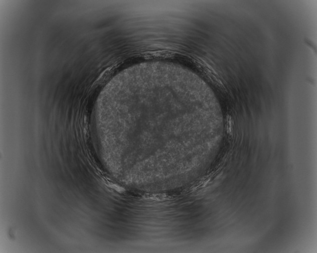 X0000097650915200803280925