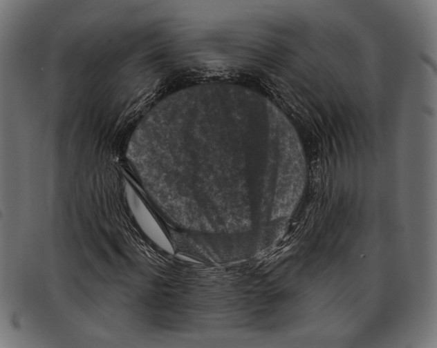 X0000097650916200803280925