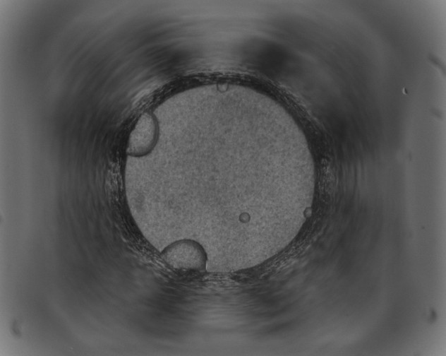 X0000097650918200803280925