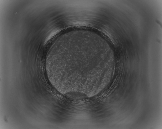 X0000097650919200803280925