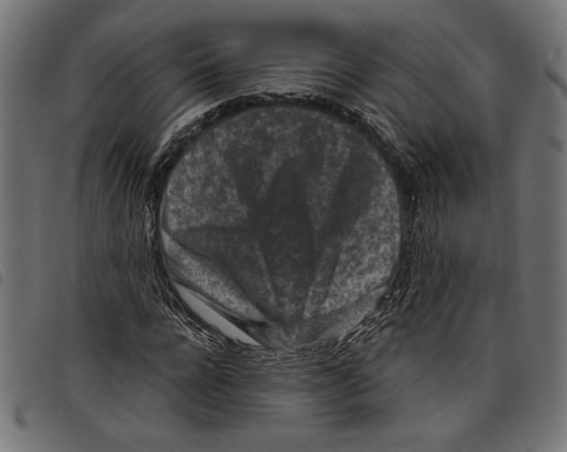 X0000097650920200803280925