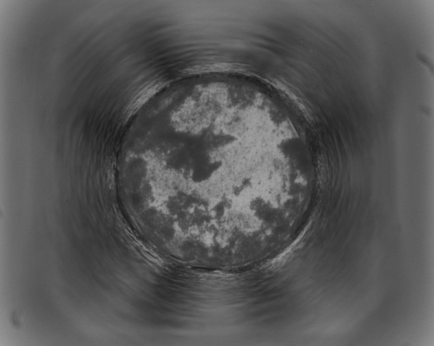 X0000097650921200803280925