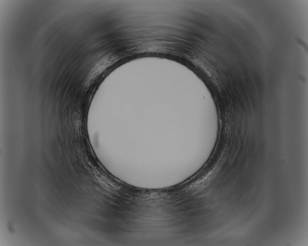 X0000097650922200803280925