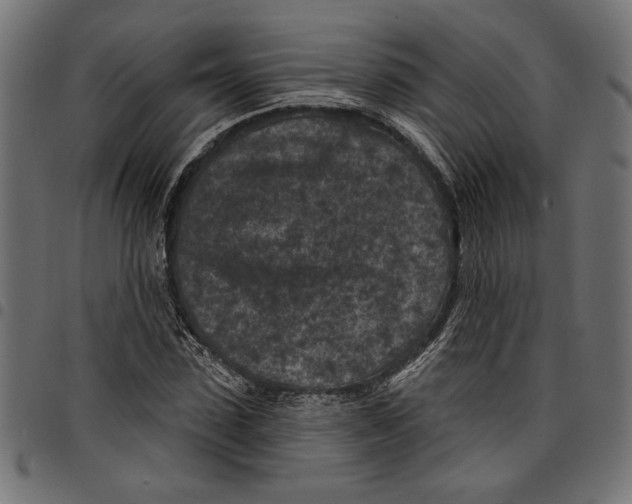 X0000097650923200803280925