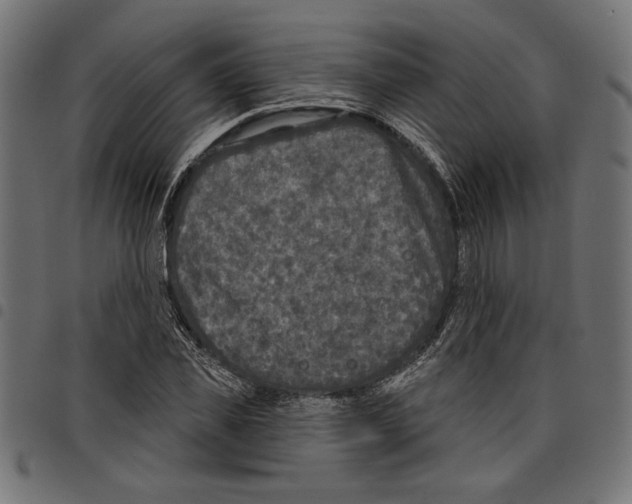 X0000097650925200803280925