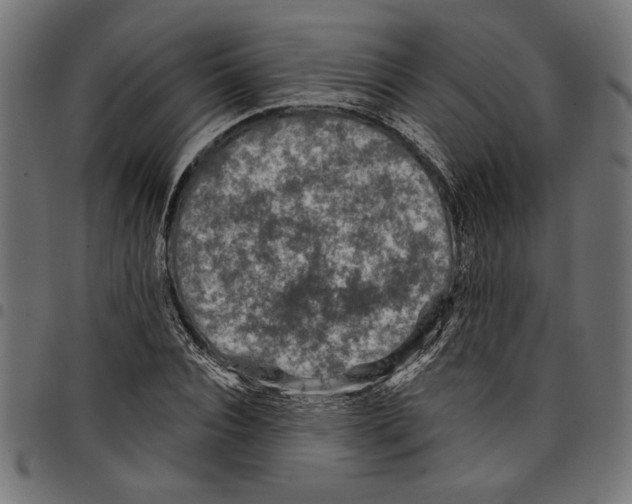 X0000097650928200803280925