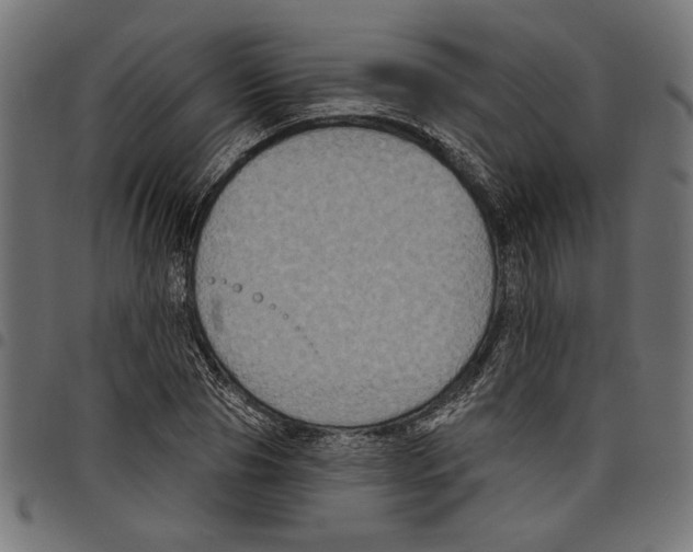 X0000097650929200803280925