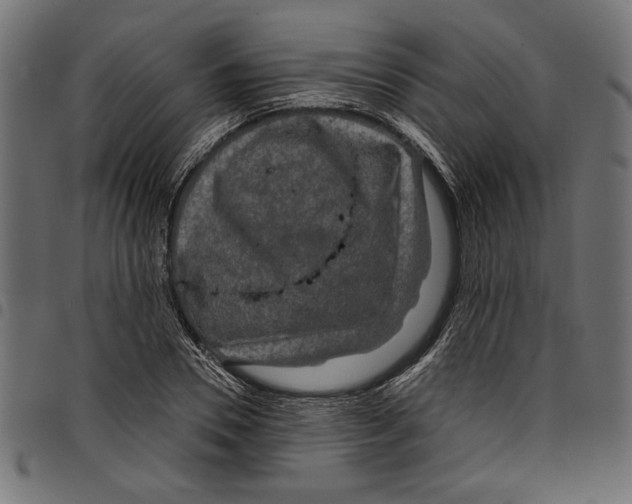 X0000097650930200803280925