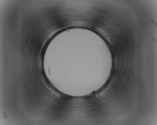 X0000097650931200803280925