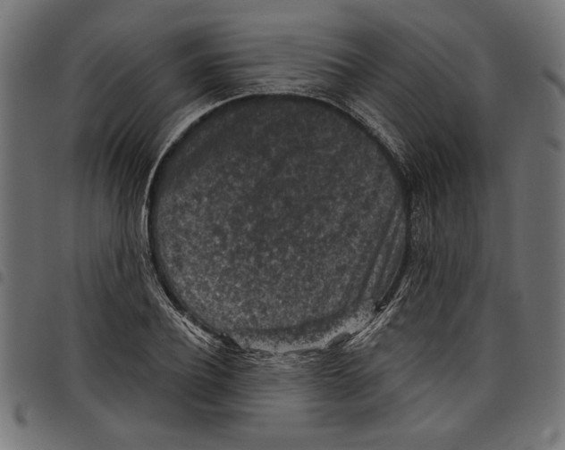 X0000097650932200803280925