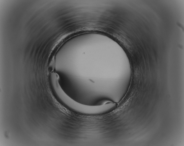 X0000097650934200803280925