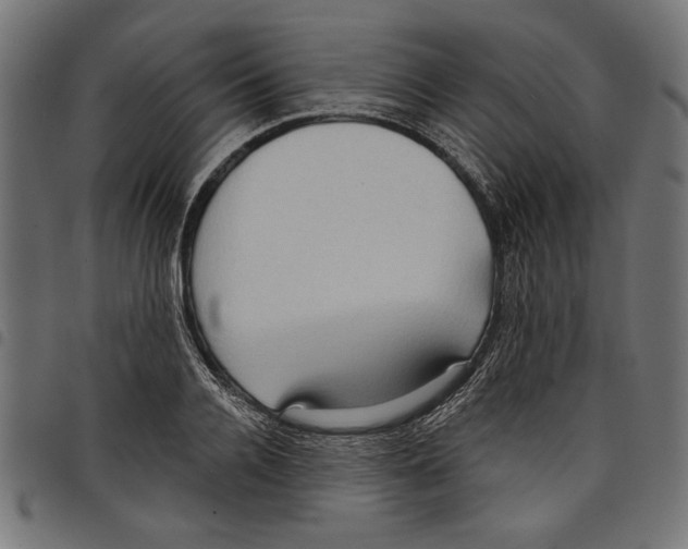 X0000097650936200803280925