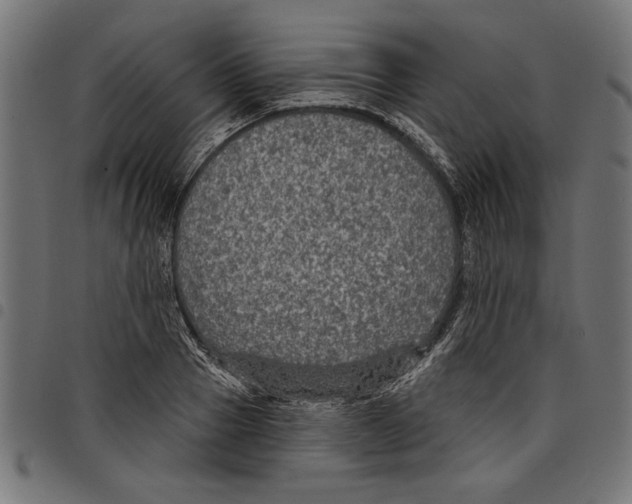 X0000097650937200803280925