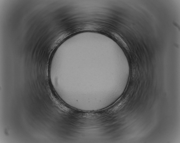 X0000097650938200803280925