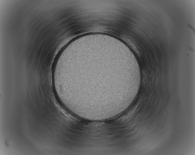 X0000097650939200803280926