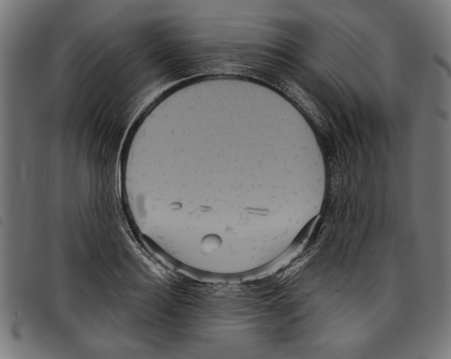 X0000097650940200803280926