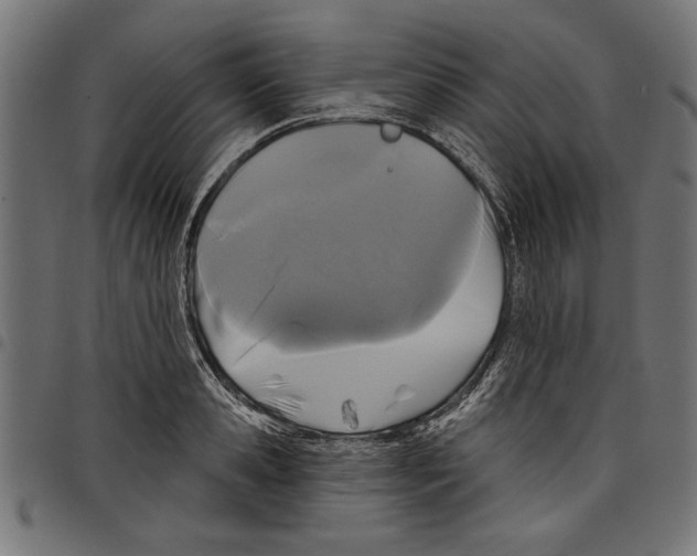 X0000097650941200803280926