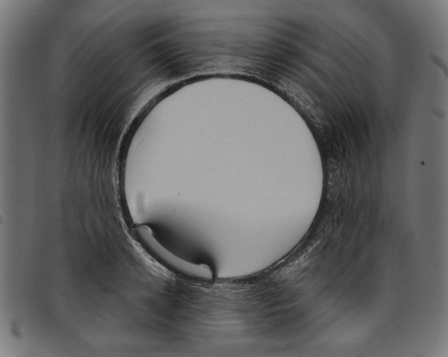 X0000097650942200803280926