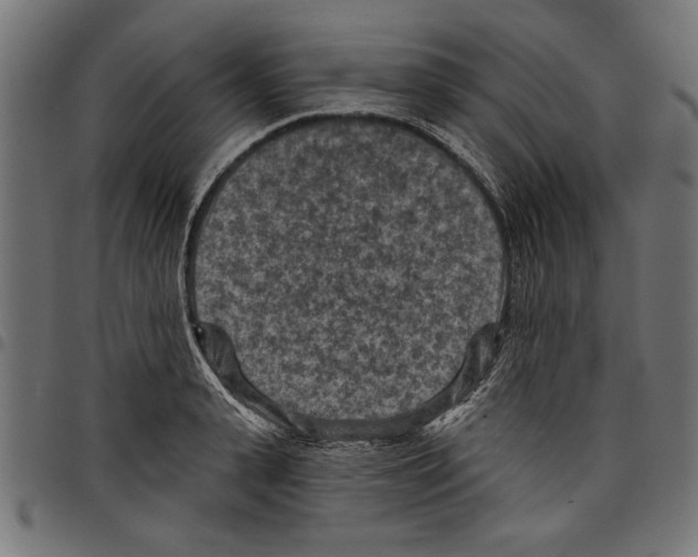 X0000097650943200803280926