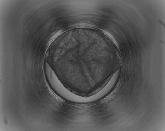 X0000097650946200803280926