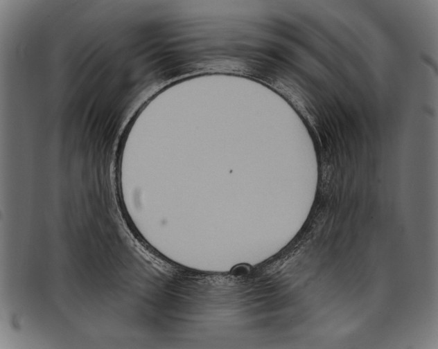 X0000097650947200803280926