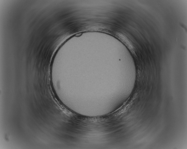 X0000097650948200803280926