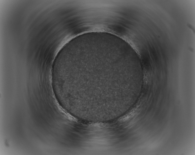 X0000097650950200803280926